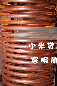 小米贷款逾期五天后果(小米贷款逾期一天被客服威胁)