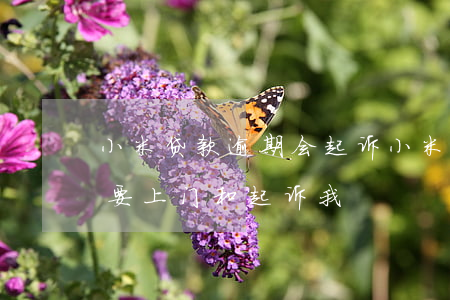 小米贷款逾期会起诉 小米贷款逾期一个月说要上门和起诉我