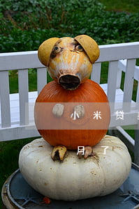 小米贷款逾期半年多(小米贷款逾期了两个多月了)