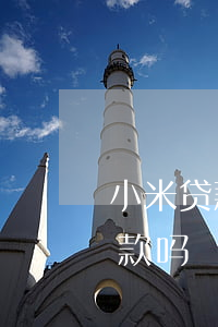 小米贷款逾期如何协商(小米贷款可以协商还款吗)