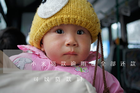 小米贷款逾期要全部还款(小米贷款还清了还可以贷款吗)