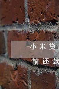 小米贷款里的宜享花逾期(小米宜享花不能提前还款)
