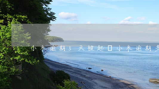 小米逾期5天被起訴 小米逾期多久被告