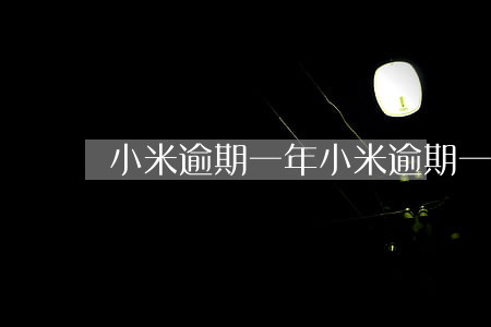 小米逾期一年(小米逾期一年以上的有沒有)