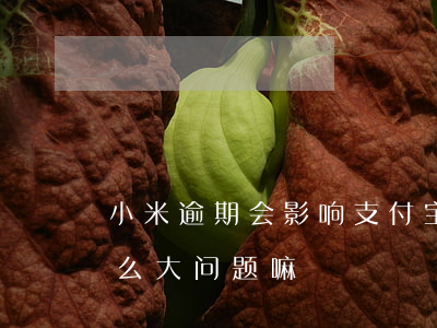 小米逾期会影响支付宝嘛(支付宝逾期会有什么大问题嘛?)