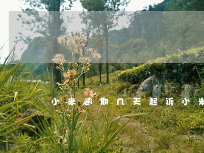 小米逾期几天起诉(小米 逾期)