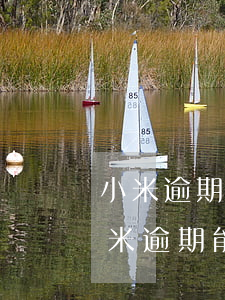 小米逾期可以協(xié)商停息掛賬嗎(小米逾期能協(xié)商還款嗎)