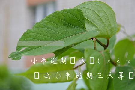 小米逾期幾天說(shuō)發(fā)律師函(小米逾期三天算違約嗎)