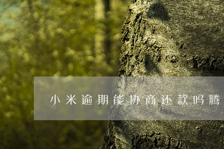 小米逾期能协商还款吗（腾讯逾期协商还款）