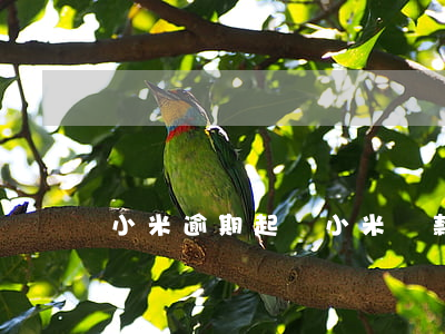小米逾期起訴 小米貸款逾期會起訴嗎