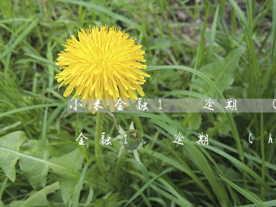 小米金融1萬逾期會(huì)起訴嗎(小米金融1萬逾期會(huì)起訴嗎)