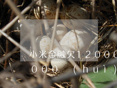 小米金融欠12000元(小米金融欠款42000會(huì)被起訴么?生活都是問(wèn)題)