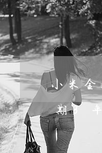 小米金融欠3萬1逾期(欠小米金融五萬多逾期3年了怎么辦)