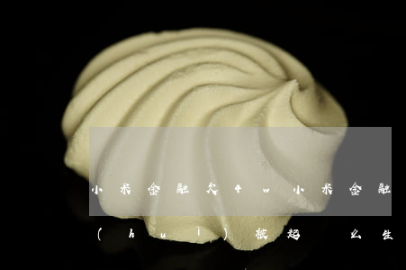 小米金融欠4w(小米金融欠款42000會(huì)被起訴么?生活都是問題)