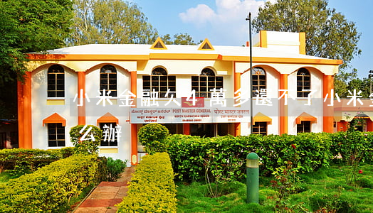 小米金融欠4萬多還不了(小米金融沒錢還怎么辦)