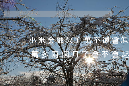 小米金融欠7萬不還會怎樣(小米金融欠了一萬多兩個月了會不會起訴)