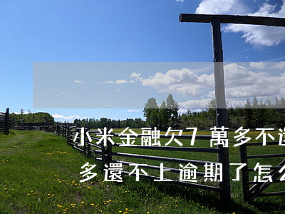 小米金融欠7萬多不還了(小米金融欠了四萬多還不上逾期了怎么協(xié)商)