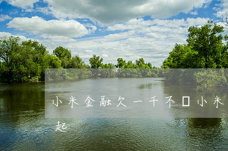 小米金融欠一千不還(小米金融貸款2萬還不起)