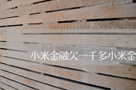 小米金融欠一千多(小米金融10万还不了)
