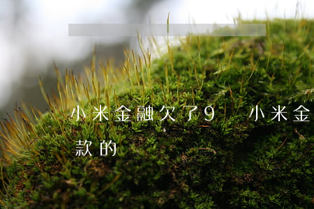 小米金融欠了9萬(小米金融有多少人沒有還款的)