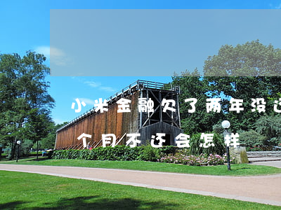 小米金融欠了两年没还(拖欠小米金融的钱四个月不还会怎样)