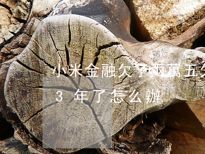 小米金融欠了兩萬五(欠小米金融五萬多逾期3年了怎么辦)