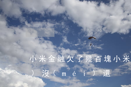 小米金融欠了幾百塊(小米金融2萬(wàn)沒(méi)還)
