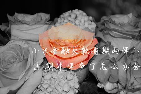 小米金融欠款逾期两年(小米金融欠款5万多,逾期半年多了怎么办,会被起诉吗?)
