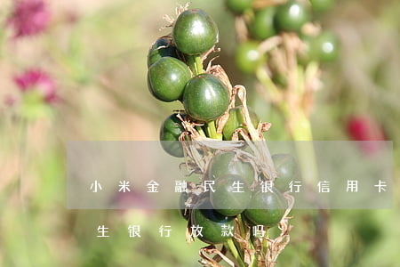 小米金融民生银行信用卡逾期(小米金融是民生银行放款吗)
