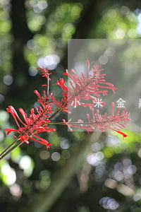 小米金融网贷逾期可以协商还款吗