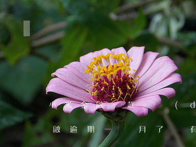 小米金融貸款幾點(diǎn)逾期(小米金融逾期一個月了會有什么后果?)