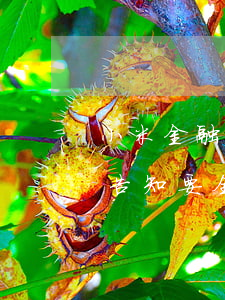 小米金融貸款逾期不還(小米金融逾期三天被告知要全額還款,不還要上訴)