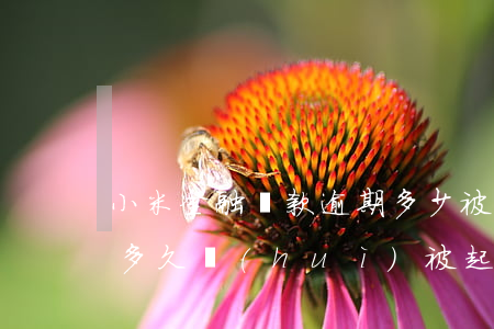 小米金融貸款逾期多少被起訴(小米貸款逾期多久會(huì)被起訴會(huì)有什么后果 新聞)