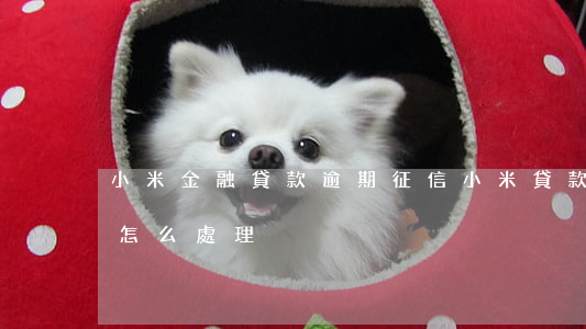 小米金融貸款逾期征信(小米貸款逾期了一般怎么處理)