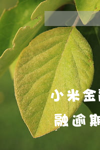 小米金融貸款逾期會凍結(jié)(小米金融逾期一個月了會有什么后果?)
