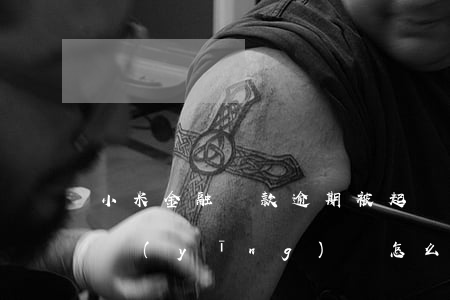 小米金融貸款逾期被起訴(小米金融起訴我我應(yīng)該怎么辦)