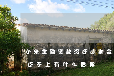 小米金融贷款没还逾期会怎样(小米金融贷款还不上有什么后果)