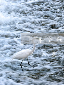 小米金融贷款逾期3天有(小米金融贷款逾期3天有)