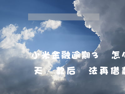 小米金融逾期3萬怎么處理(小米金融逾期三天還款后無法再借款了嗎)