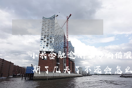 小米金融逾期了影响借呗吗(小米金融贷款逾期了几天了不还会怎么样?)