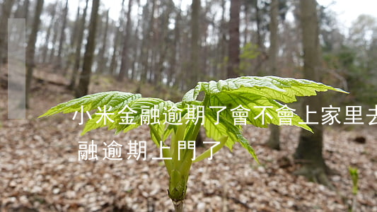 小米金融逾期了會不會上家里去要錢（小米金融逾期上門了）