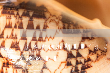 小米金融逾期兩個(gè)月會(huì)被起訴嗎