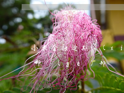 小米金融逾期協(xié)商不成功可以找哪個(gè)部門調(diào)解（江西小米金融逾期協(xié)商還款技巧）