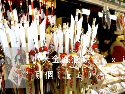 小米金融逾期協(xié)商不成功可以找哪個(gè)部門調(diào)解（河南小米金融逾期協(xié)商還款）