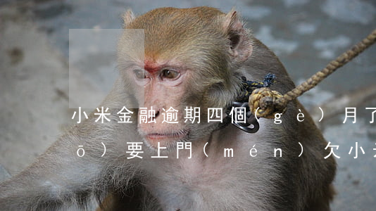 小米金融逾期四個(gè)月了說(shuō)要上門(mén)(欠小米金融的錢(qián)逾期很久了會(huì)上門(mén)催債嗎)