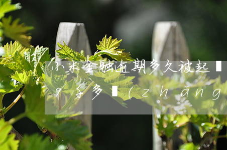 小米金融逾期多久被起訴(小米金融貸款逾期9千多長(zhǎng)時(shí)間會(huì)起訴)