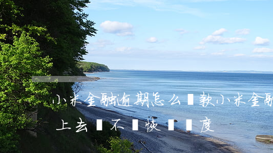 小米金融逾期怎么還款(小米金融逾期一天還上去會不會恢復額度)