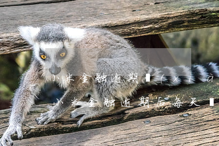小米金融逾期現(xiàn)在都怎么樣了 小米金融逾期后每天還一些還會(huì)被起訴嗎