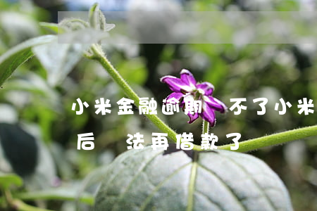 小米金融逾期還不了(小米金融逾期三天還款后無法再借款了嗎)