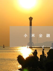 小米金融逾期還款協(xié)商(小米金融有沒(méi)有協(xié)商還本的)